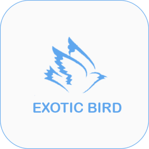 Exotic Birds Sale